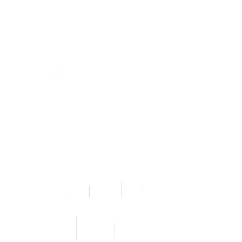 Volkswagen Camiones Buses